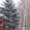 алла5561
